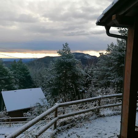Les Marmotes Camprodon Villa Vehinat de Freixanet Eksteriør billede
